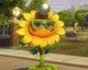Nový Plants vs. Zombies pro konzole je pokračování Garden Warfare