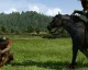 30 minut z bety Kingdom Come: Deliverance