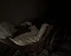 Nové dvě ukázky z Resident Evil 7: biohazard