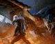 Monster Hunter World dostane příští rok velké rozšíření Iceborne
