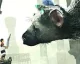 The Last Guardian odložen