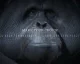 Nový trailer na Planet of the Apes: Last Frontier představuje Clarence