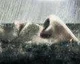 Quantic Dream: Sony na Heavy Rain vydělala