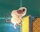 MouseCraft v novém traileru