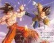 Oznámen nový Dragon Ball