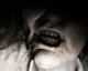 Gamescom trailer na horor Resident Evil 7