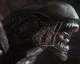 Alien Isolation – informace o zbraních