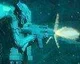 Hollowpoint – nové informace a obrázky