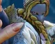 Vega se vrátí v bojovce Street Fighter V