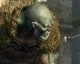 Třetí trailer na Dragon’s Dogma Online