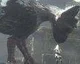 The Last Guardian je stále v plánu