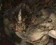 Evolve dostane v lednu betaverzi na Xbox One