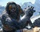 Far Cry 4 dostane DLC Valley of the Yetis v polovině března