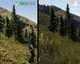 Grand Theft Auto V – framerate test