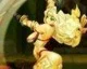 Dragon’s Crown – Amazon Trailer