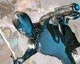 Digital Extremes by rád viděl Warframe na Xbox One