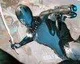 Digital Extremes oznamuje hru Warframe pro Playstation 4