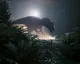 Annapurna Interactive oznámila přípravu dinosauřího survival hororu The Lost Wild