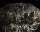 Paragon dostane brzy otevřenou betu