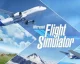Microsoft Flight Simulator