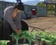 Yakuza: Ishin představuje režim Another Life