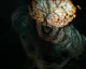 Teaser trailer na seriál The Last of Us