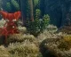 Unravel v EA Access bude mít omezení