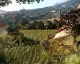 Dying Light dostane velké rozšíření The Following začátkem příštího roku