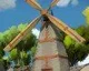 The Witness má nové nádherné obrázky