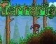 Informace o multiplayeru v konzolové verzi hry Terraria