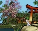 Okami HD ohodnoceno pro PS4 a Xbox One