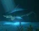 Nové gameplay video ze hry Abzu
