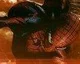 The Amazing-Spider Man dostane 2 nová DLC – PS3 exkluzivní