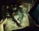 Horor Daylight pro Playstation 4 přiblížen + E3 trailer