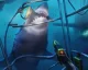 Sony oznámila kolekci her PlayStation VR Worlds