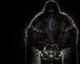 Dark Souls II: Scholar of the First Sin – PS4 framerate test