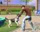The Sims 3: Pets míří na konzole