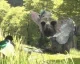 The Last Guardian dostane po vydání HDR podporu, na PS4 Pro podporu pro 4K