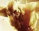 God of War: Ascension má být nejambicióznější díl série