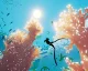 Abzu vyjde koncem měsíce pro Nintendo Switch
