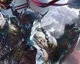 5 hodin z hraní akčního RPG Lords of the Fallen