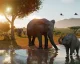 Podívejte se na 35 minut dlouhé video z hraní hry Planet Zoo 2