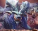 Lunastra přichází do Monster Hunter: World