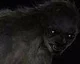 Nový deníček hry The Order: 1886 představuje děsivého nepřítele