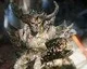 Epic Games na GDC prezentoval Unreal 4 engine – video