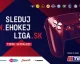 Slovenskou EHOKEJ Ligu ve hře NHL 21 čeká velké finále