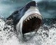 Megalodon v DLC Naval Strike pro Battlefield 4