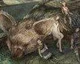 Sony chystá pro E3 2014 odhalení epických her