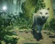 Pěkný trailer na indie hru Lost Ember