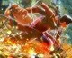 První trailer na Naruto Shippuden: Ultimate Ninja Storm 4